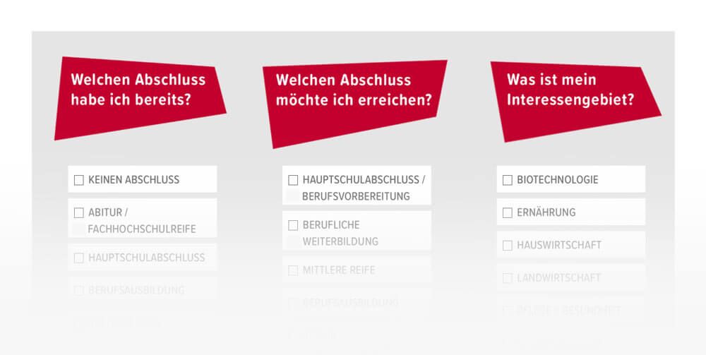 Vorschau des Schularten-Finders