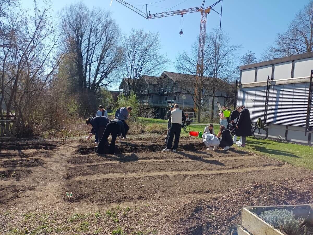 Ernte vom SchulAcker