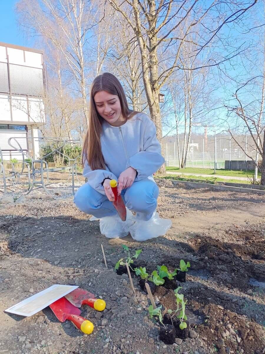 Gemüsebeete des SchulAckers